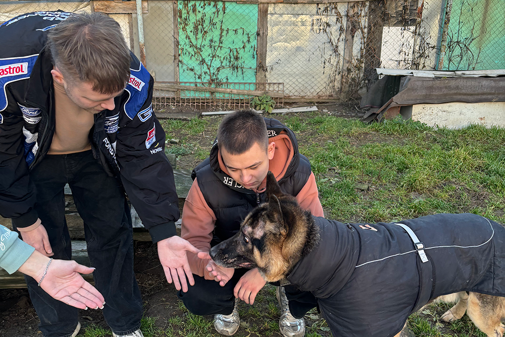 Доброта без слов